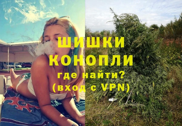 винт Протвино