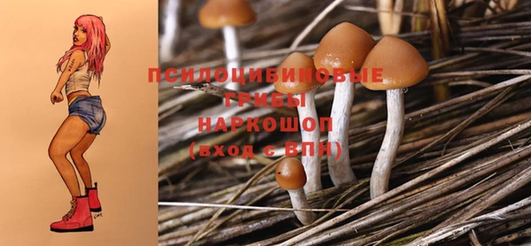 2c-b Покачи