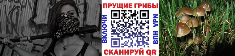 Псилоцибиновые грибы Magic Shrooms  Балей 